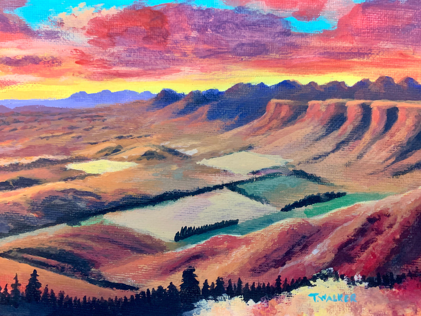 "Echoes of the Horizon"