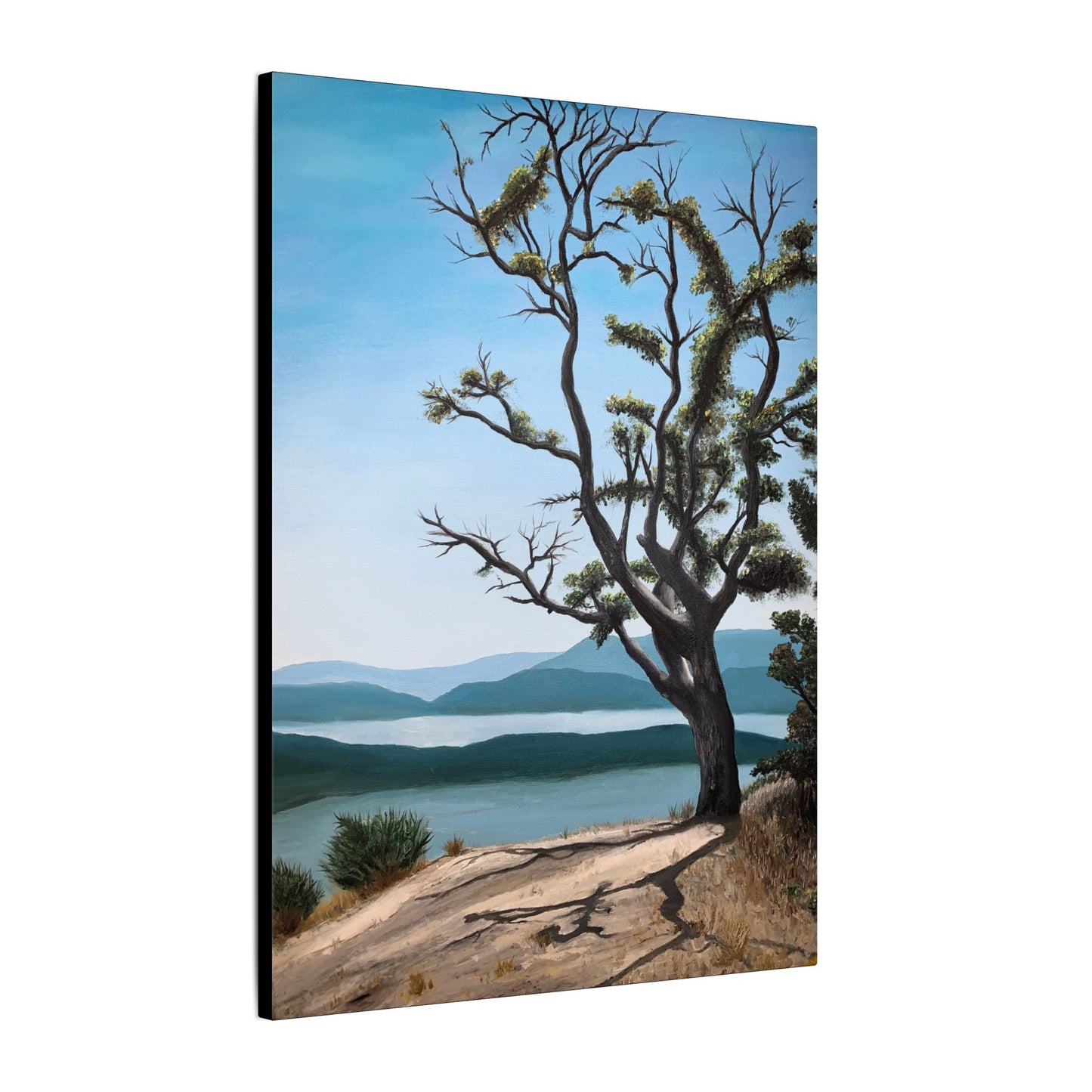 Coastal Tree Matte Canvas Print — Serene Ocean View Wall Art