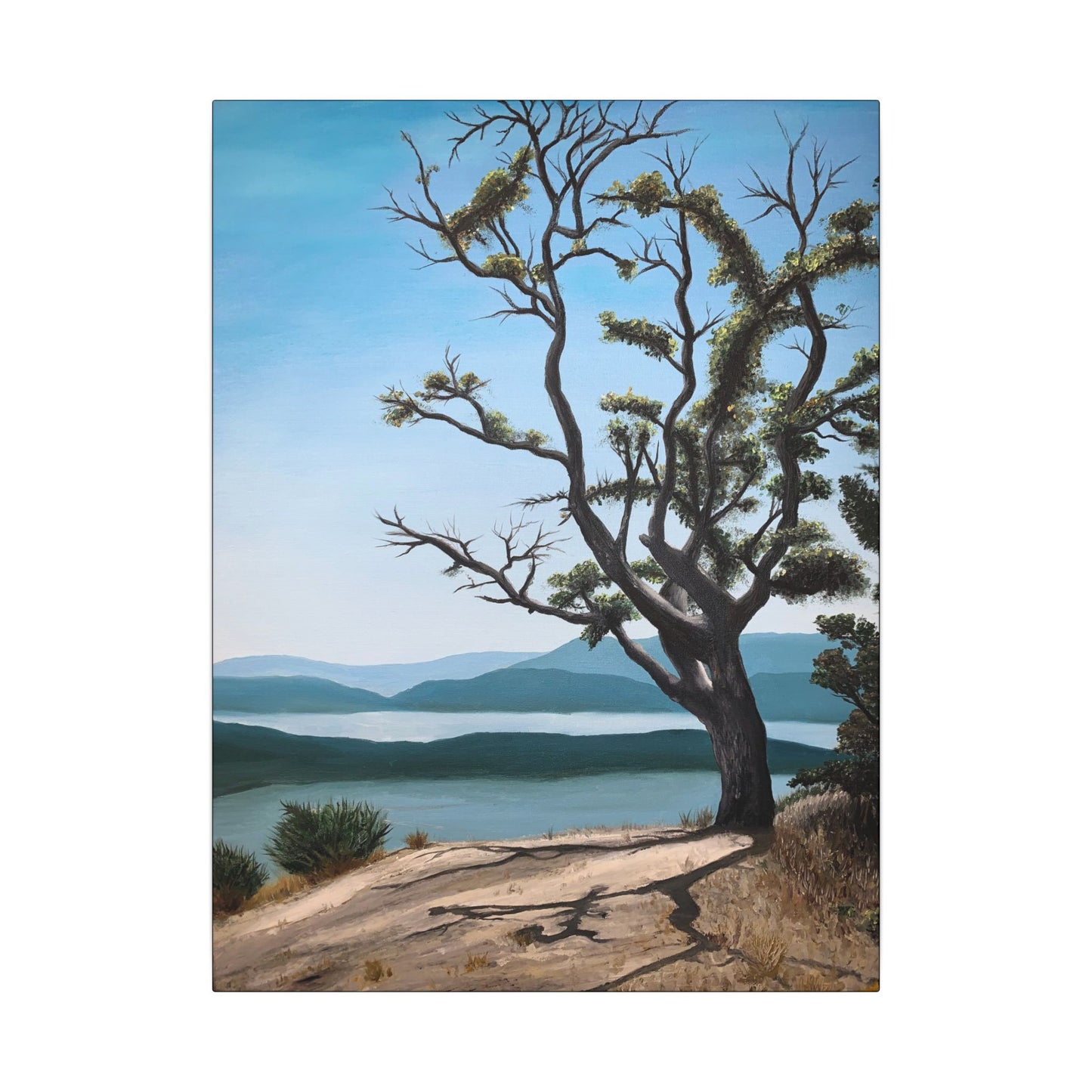 Coastal Tree Matte Canvas Print — Serene Ocean View Wall Art